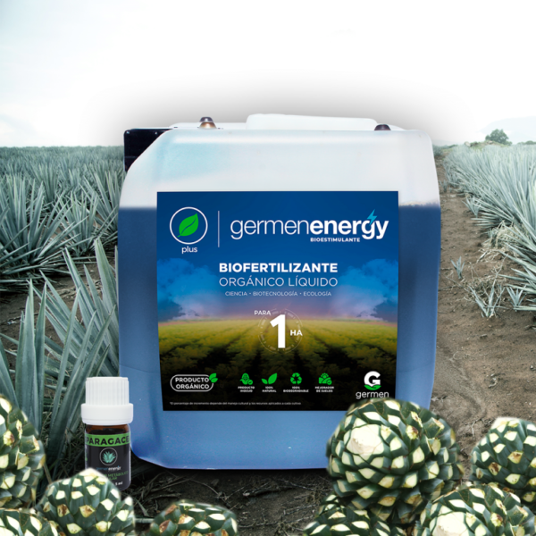 Kit Germen Energy para ASPARAGACEAE