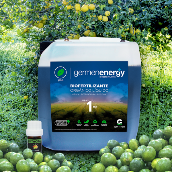 Kit Germen Energy para RUTACEAE