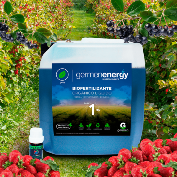 Kit Germen Energy para ERICACEAE